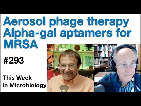 TWiM 293: Aerosol phage therapy, alpha-gal aptamers for MRSA