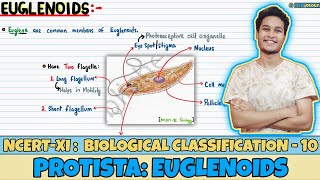 Biological Classification| Lec 10- Protista: Euglenoids| Class 11| NEET| Neetology