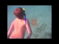 Swimming with the Sea Turtles, St. John usvi