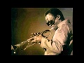 black panther blues   Sonny Boy Williamson