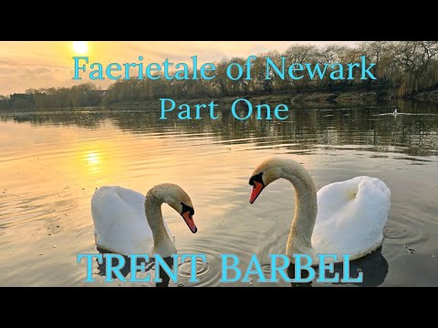Faerietale of Newark Part 1 | Barbel Fishing The Might River Trent
