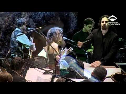 Wander my friends......wander the fleet