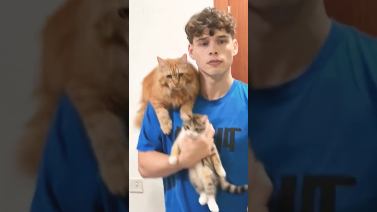 #danomc#edit#suscribense#like 😎