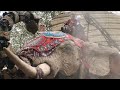 The Sultan S Elephant HD