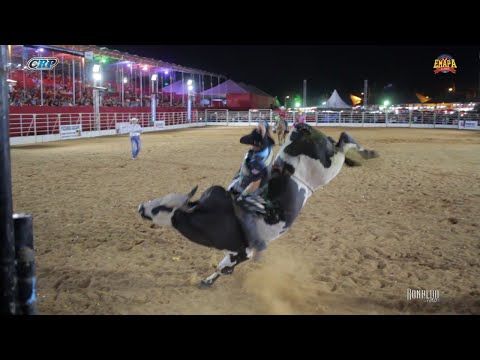 CHAMPIONS CUP - EMAPA Rodeo of Avaré 2019