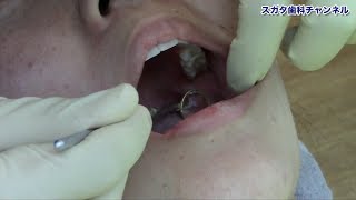 医療法人社団　スガタ歯科医院