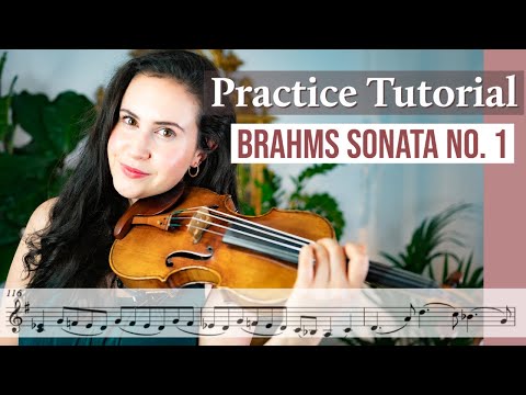 Watch Me Practice | Brahms Violin Sonata No. 1, Op. 78