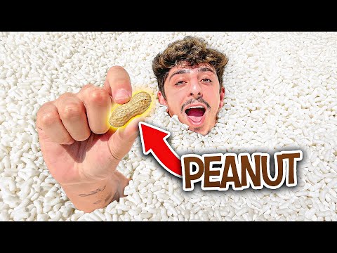 Find the REAL Peanut in 1,000,000 Packing Peanuts Pool