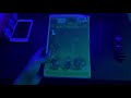 Opening To Barney S Halloween Party 1998 VHS
