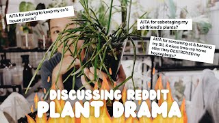 repot & chat #014 / talking about some 🔥 heated 🔥 plant drama from reddit 👀