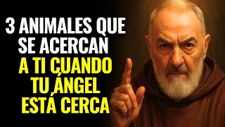 PADRE PÍO REVELA: 3 ANIMALES QUE SE ACERCAN A TI CUANDO TU ÁNGEL DE LA GUARDA ESTÁ CERCA