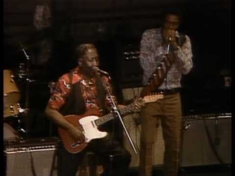 Muddy Waters - I'm A King Bee - ChicagoFest 1981