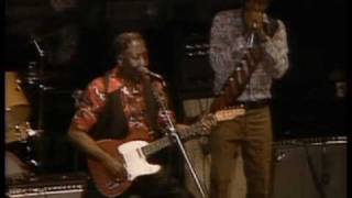 Muddy Waters - I&#39;m A King Bee - ChicagoFest 1981