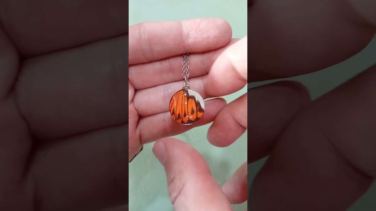 20mm Hebomoia glaucippe real Great Orange-Tip butterfly wing necklace under domed glass wholesale boutique jewelry