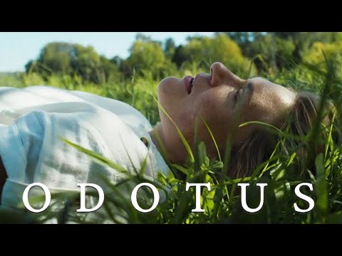 Odotus | Cinerotica