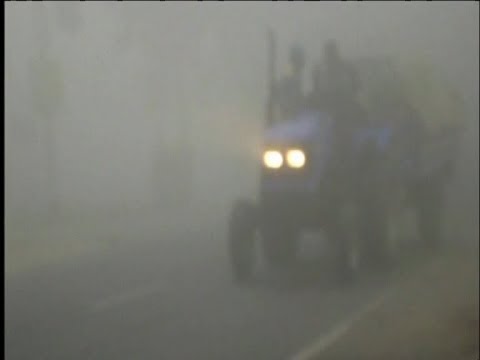 মাঘের প্রথম দিনেই শৈত্য প্রবাহ আর কুয়াশার মাত্রা বেড়েছে | ETV News