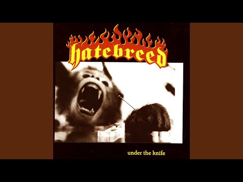Puritan - Hatebreed