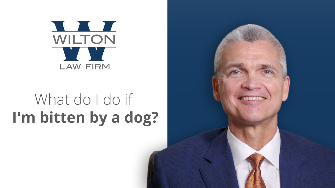 What do I do if I'm bitten by a dog in New Jersey?