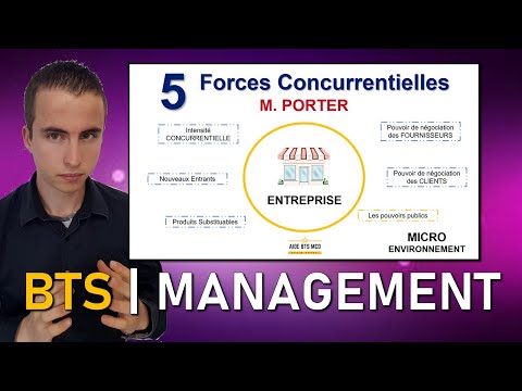 Révisions MANAGEMENT #7 - Macro et Micro environnement | AIDE BTS MUC | BTS MCO