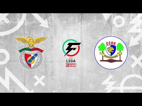 Liga Placard, 21ª jorn.: SL Benfica 12-1 CCRD Burinhosa