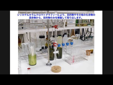 薬学科 松永先生 薬学科【研究室紹介】