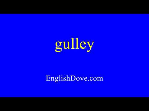 How to pronounce gulley in American English