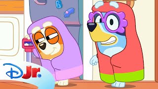 Every Bluey Character Nickname! | @disneyjr