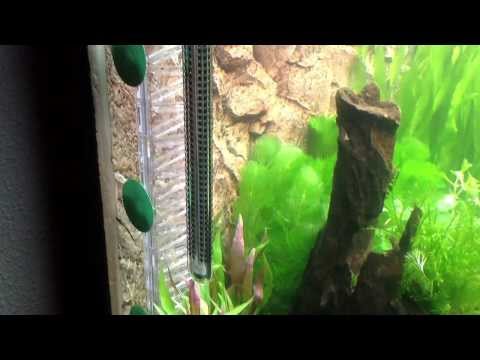 Диффузор CO2 Dennerle Maxi-Flipper реактор для аквариума до 600 литров - фото 1 - id-p2035216467