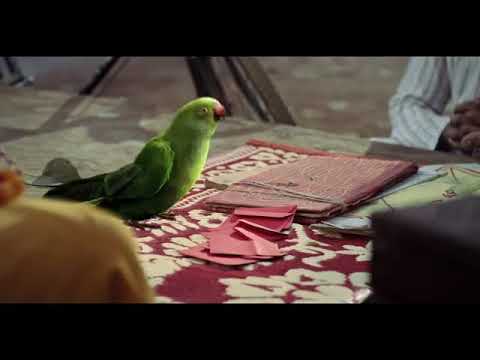 RAJU PATEL with amitabbachan pest jyotish