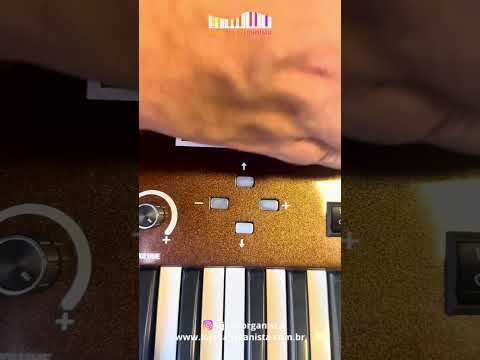 Principais Recursos do Orgao Acordes aC500 Top Elegance #orgaoacordesac500topelegance