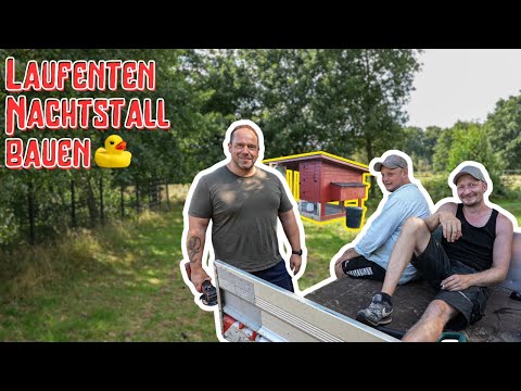 Tag:574 Beton, Erdbohrer & Schweiß – der Anfang vom Laufenten Stall!