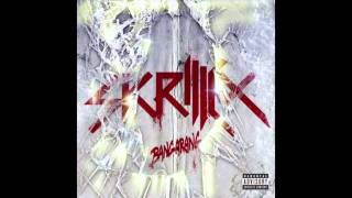 Skrillex - Right On Time