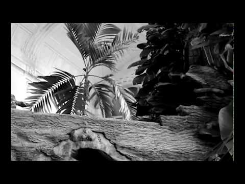 Fuzzman - I tua wohl (official Video)