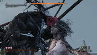 Re: [心得] 隻狼的心得(新增心中系列)