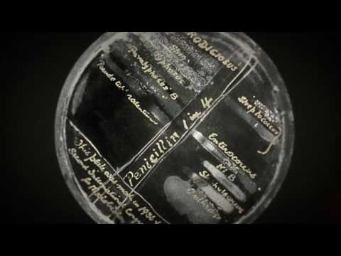 Quarks - Erfindung des Penicillin