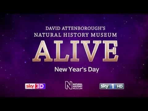Thumbnail of the video: Natural History Museum Alive with David Attenborough. Official trailer