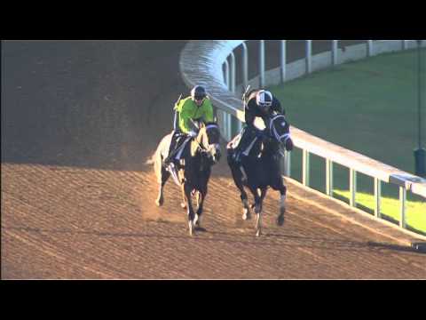 Rachel's Valentina and Stopchargingmaria work October 5, 2015