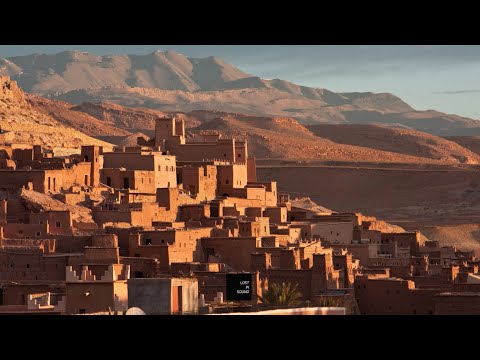 Stimmhalt - Chain to The Genetics [Astrophone Records]