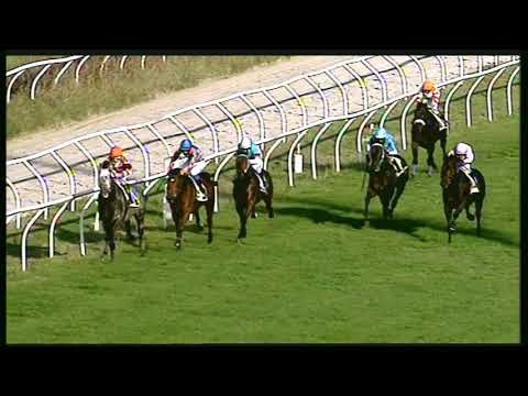 Galoppo 02/11/2020 - 4ª corsa