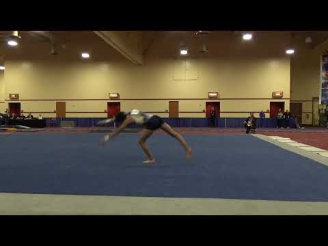 Rithik Puri - Floor Exercise - 2019 Winter Cup Junior Prelims