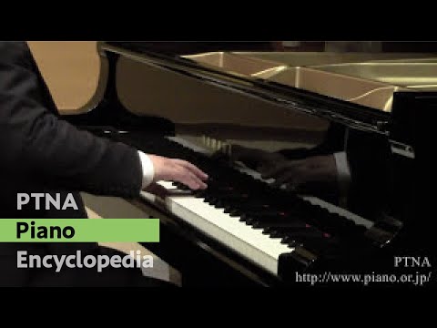 Akamatsu Rintaro / Mozart - Fantasie K.397