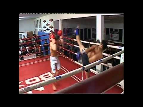 [Harvey G] highlights