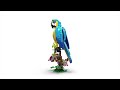 LEGO® Creator 3-in-1 Egzotiška papūga (31136)