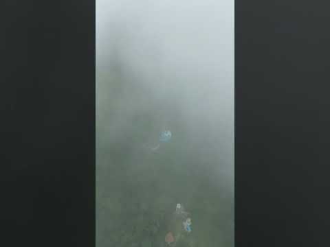 Serra da Bocaina - Estrada do Ouro - Município de Cunha - Divisa São Paulo - Rio de Janeiro.