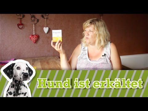 Das Ekzem auf den Kissen der Finger Jemeljanowa die Hoffnung borissowna der Homöopath atopitscheski die Hautentzündung