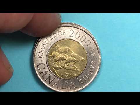 2003 Canada 2 Dollar Coin -  Canadian LOONIE - 3 Polar Bears Knowledge - 3 Varieties