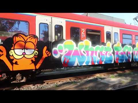 NcFormula presents: Monkey Business 2