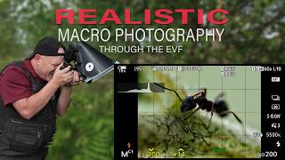 What Does Macro Photography Really Look Like Through the EVF?