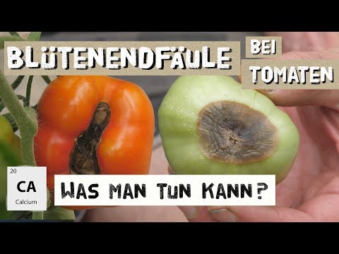 Schmerzen im Nacken beim Abbiegen Kopf als Abstrich Wunder unterer Rücken auf dem Mann die Übungen zu machen