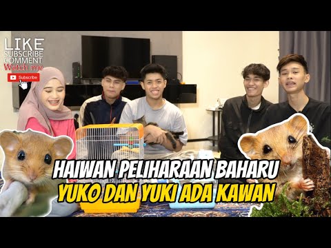 RAHIM BELI HAIWAN PELIHARAAN BARU - MARSYA HAPPY DENGAN RAHIM🤩